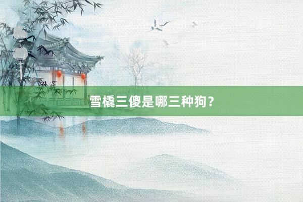 雪橇三傻是哪三种狗？