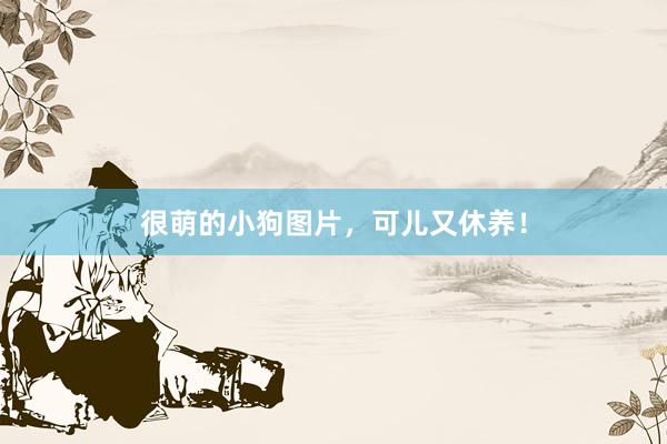 很萌的小狗图片，可儿又休养！