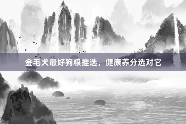 金毛犬最好狗粮推选，健康养分选对它